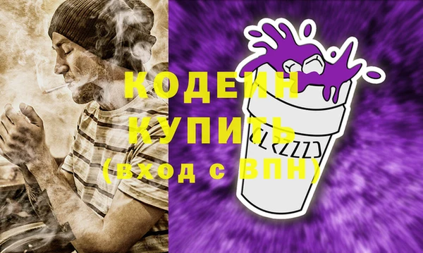 индика Богородицк
