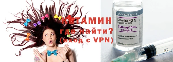 индика Богородицк