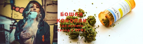 гидропоника Богданович