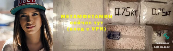 индика Богородицк