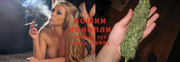 гидропоника Богданович