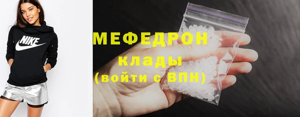 индика Богородицк