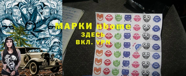 индика Богородицк