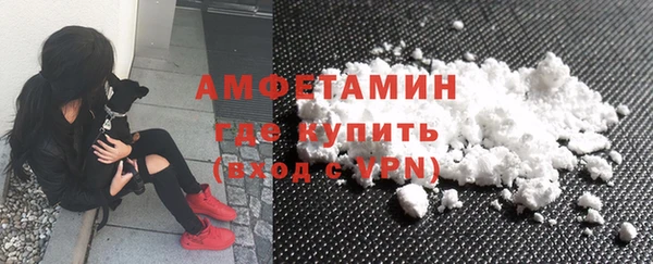 индика Богородицк