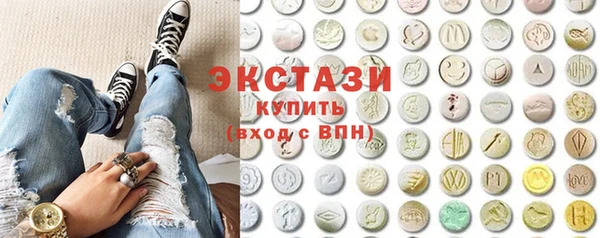 индика Богородицк