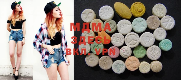 индика Богородицк
