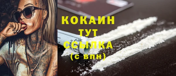 шишки Беломорск