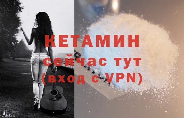 индика Богородицк