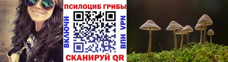 где купить наркоту  Углегорск  МЕГА зеркало  Псилоцибиновые грибы Magic Shrooms 